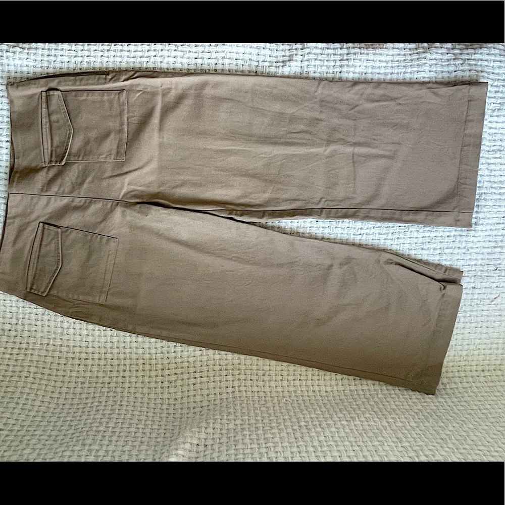 Zara Basic High Waisted Pants